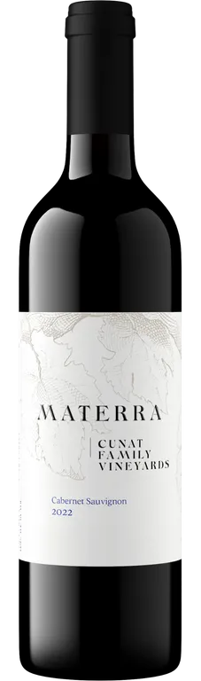 2022 Cabernet Sauvignon Napa Valley