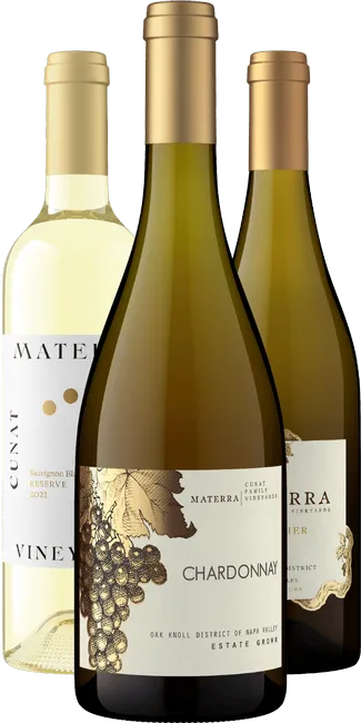 Sunshine in a Bottle White Wine Gift Set