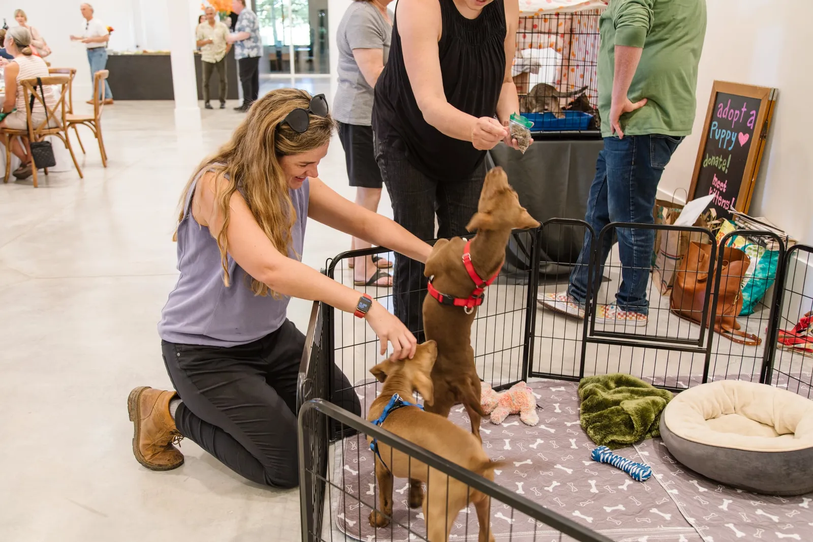 Woman petting brown dog at puppy adoption event